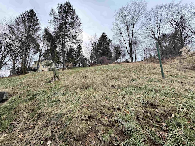 view of yard with a rural view