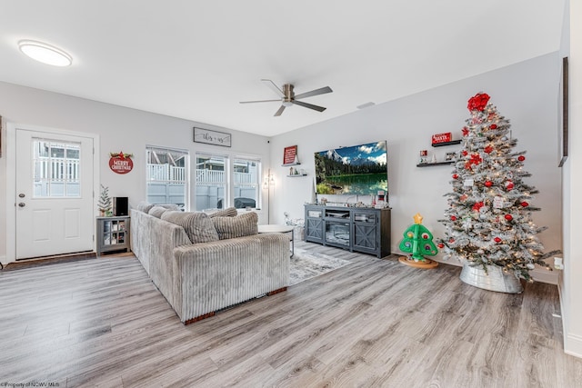 living room featuring ceiling fan, plenty of natural light, and light wood-type flooring