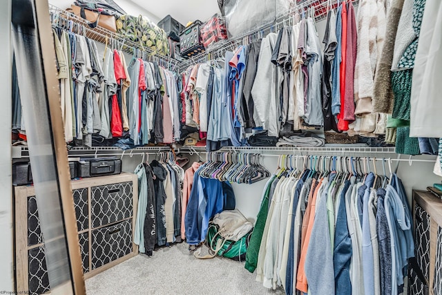 spacious closet with carpet