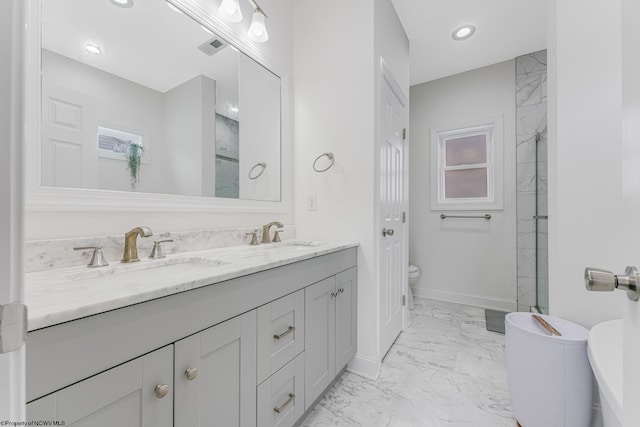 bathroom with vanity, toilet, and walk in shower