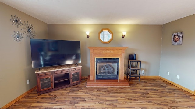 living room with wood-type flooring