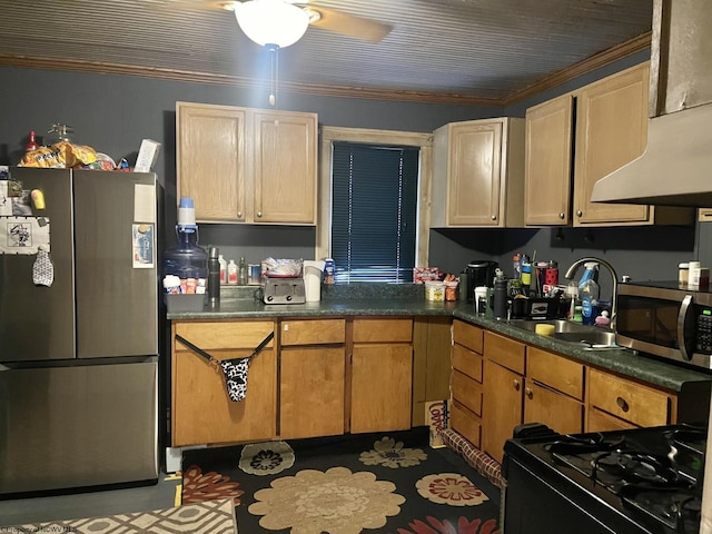 kitchen featuring appliances with stainless steel finishes, ceiling fan, crown molding, and sink