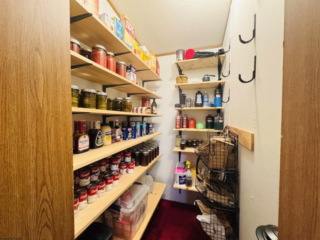 view of pantry