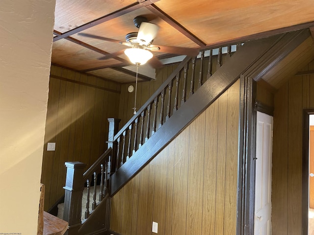 staircase featuring wooden walls