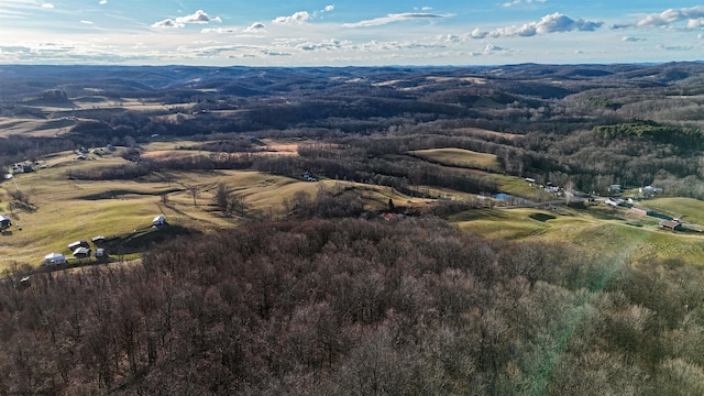 0 Morgantown Pike, Belington WV, 26260 land for sale