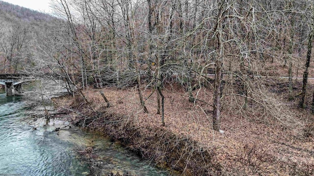 Listing photo 3 for TBD Leaf View Ln, Ellamore WV 26267