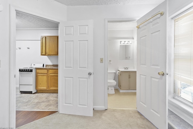 bathroom featuring vanity, a textured ceiling, and toilet