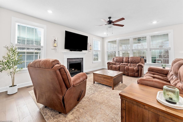 living room with ceiling fan and light wood-type flooring