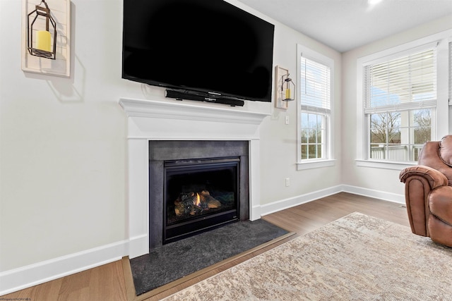 living room with hardwood / wood-style floors