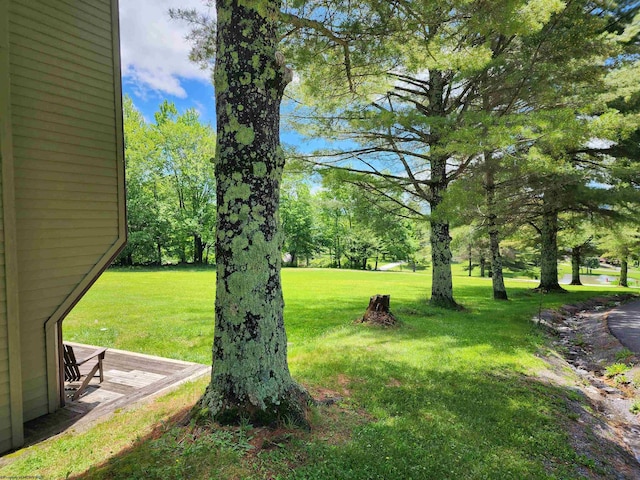 16-121 Grizzly Way Unit 1, Davis, WV 26260