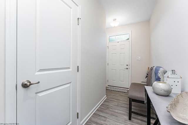 doorway to outside featuring wood-type flooring