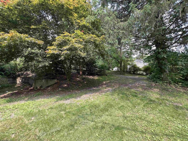 48 Booth Rd, Booth, WV 26501 - view of yard with a wooded view