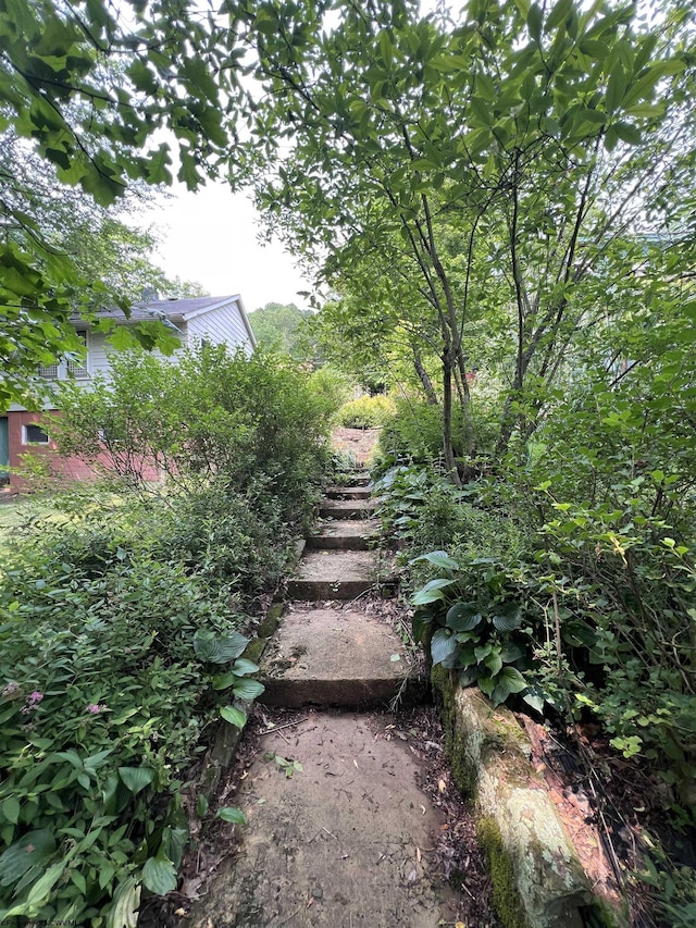 48 Booth Rd, Booth, WV 26501 - view of yard