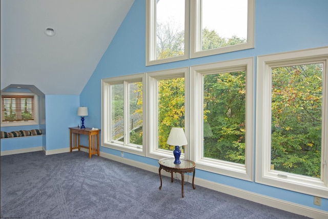 additional living space with vaulted ceiling and dark carpet