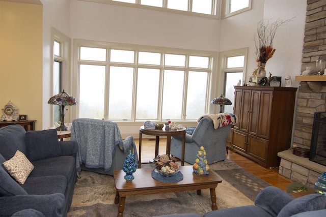 living room with a fireplace and wood-type flooring