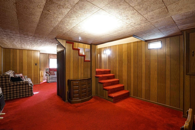 basement featuring wood walls and carpet floors