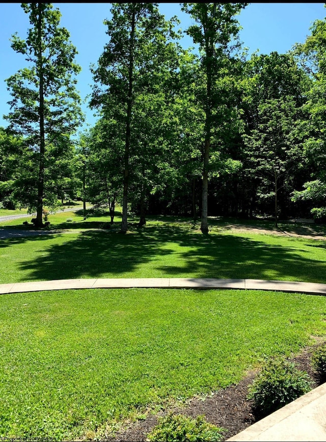 view of home's community featuring a yard