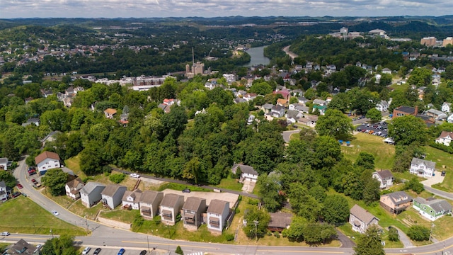 bird's eye view