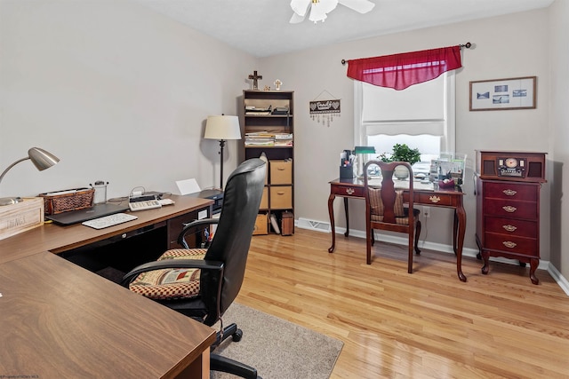 office featuring ceiling fan and light wood-type flooring