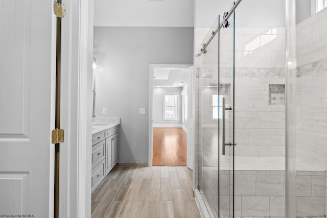 bathroom featuring vanity, hardwood / wood-style flooring, and a shower with door