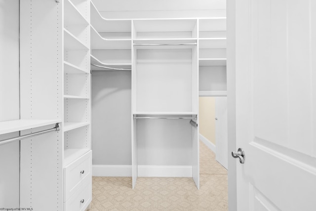 view of walk in closet