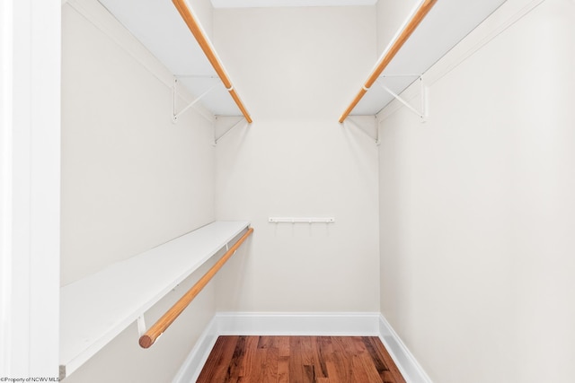 walk in closet with hardwood / wood-style flooring