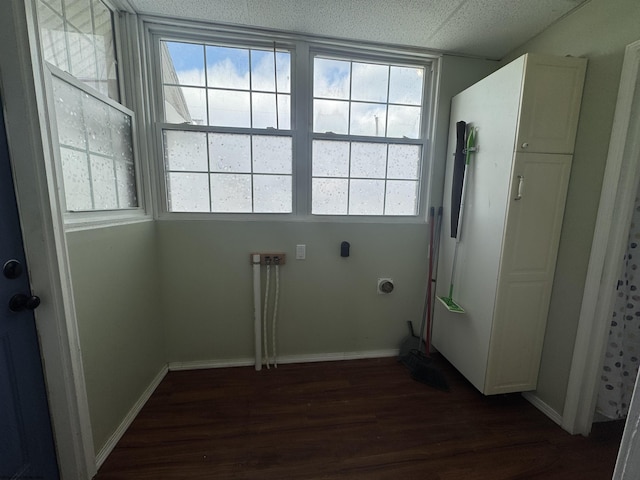 laundry area with a wealth of natural light and dark hardwood / wood-style flooring