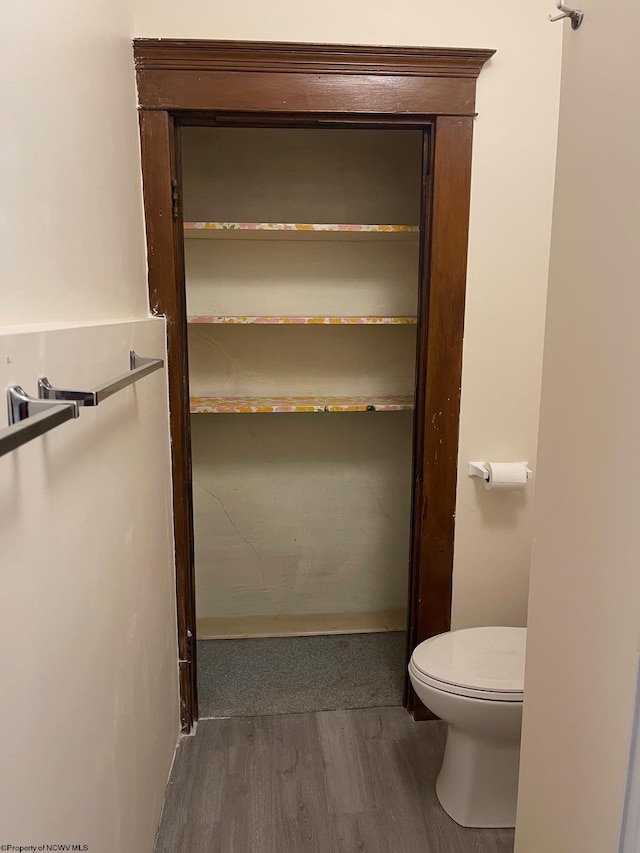 bathroom with hardwood / wood-style flooring and toilet