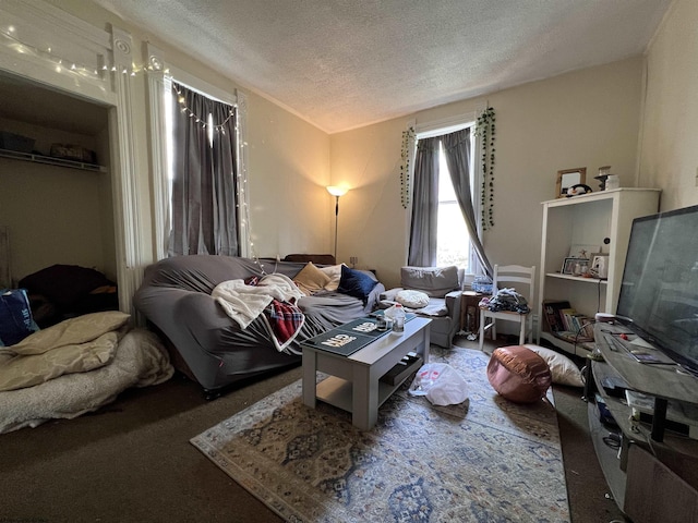 carpeted living room featuring a textured ceiling