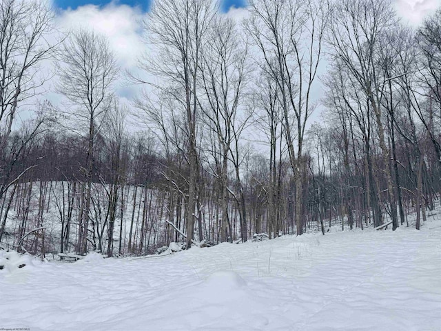 Listing photo 3 for TBD E Grafton Rd, Fairmont WV 26554