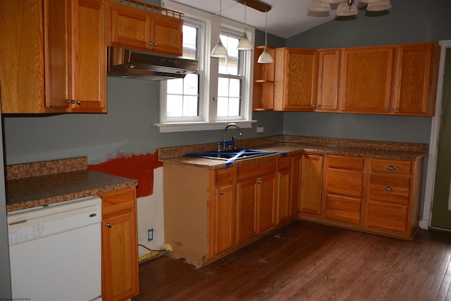 kitchen with sink, hanging light fixtures, dark hardwood / wood-style flooring, white dishwasher, and vaulted ceiling