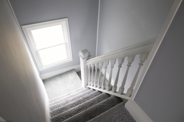 stairway with carpet