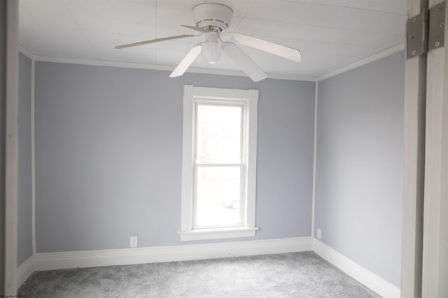 empty room with ceiling fan, carpet floors, and ornamental molding