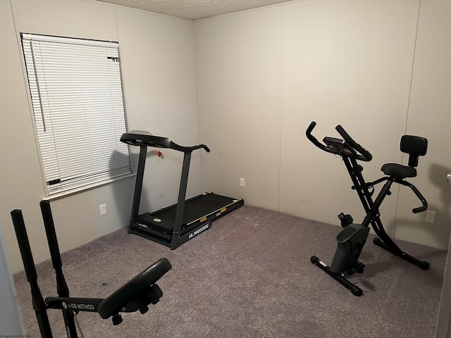 exercise room featuring carpet and a textured ceiling