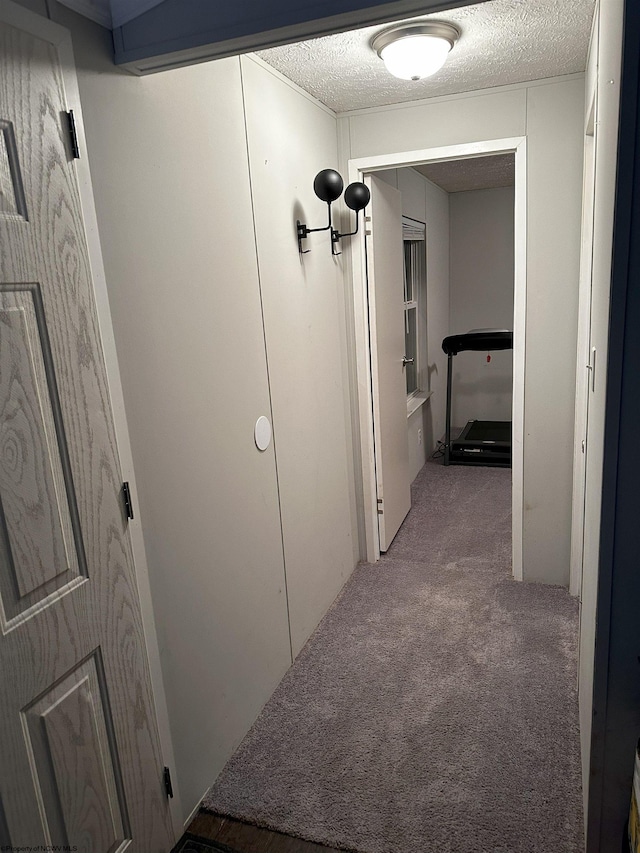 hall with carpet floors and a textured ceiling