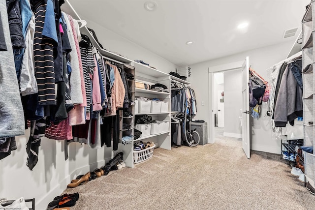 spacious closet featuring carpet flooring