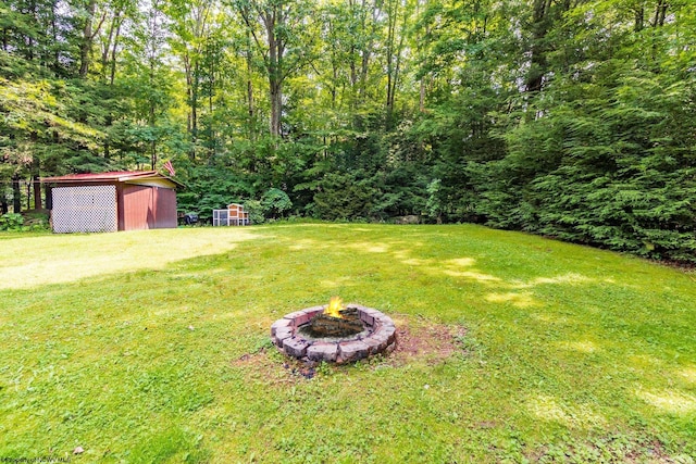 view of yard featuring a fire pit and an outbuilding