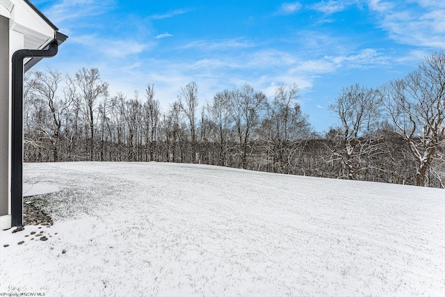 view of snowy yard