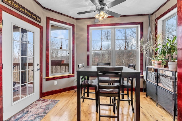 dining area featuring ceiling fan, light hardwood / wood-style flooring, and crown molding