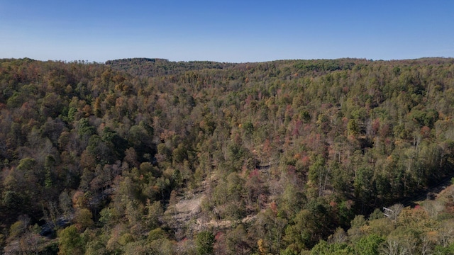 TBD S Preston Hwy, Tunnelton WV, 26444 land for sale