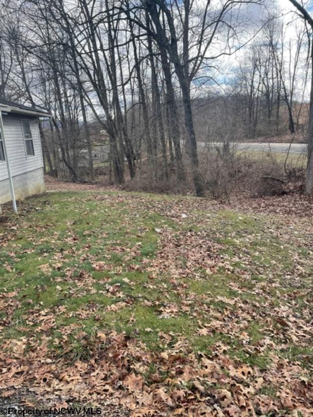 9412 Morgantown Pike, Philippi, WV 26416 - view of yard