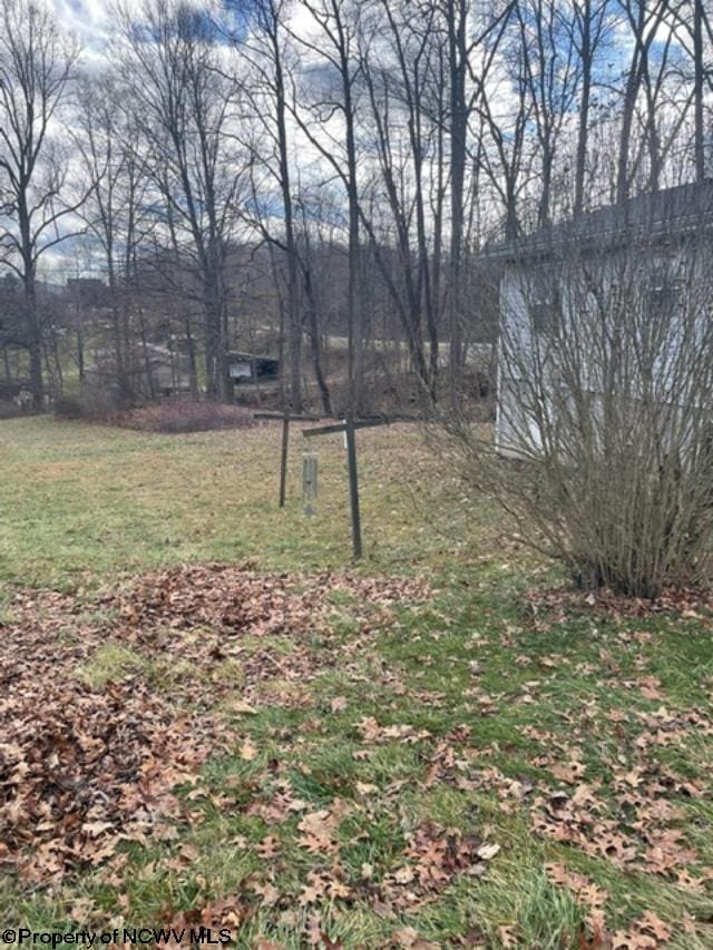 9412 Morgantown Pike, Philippi, WV 26416 - view of yard