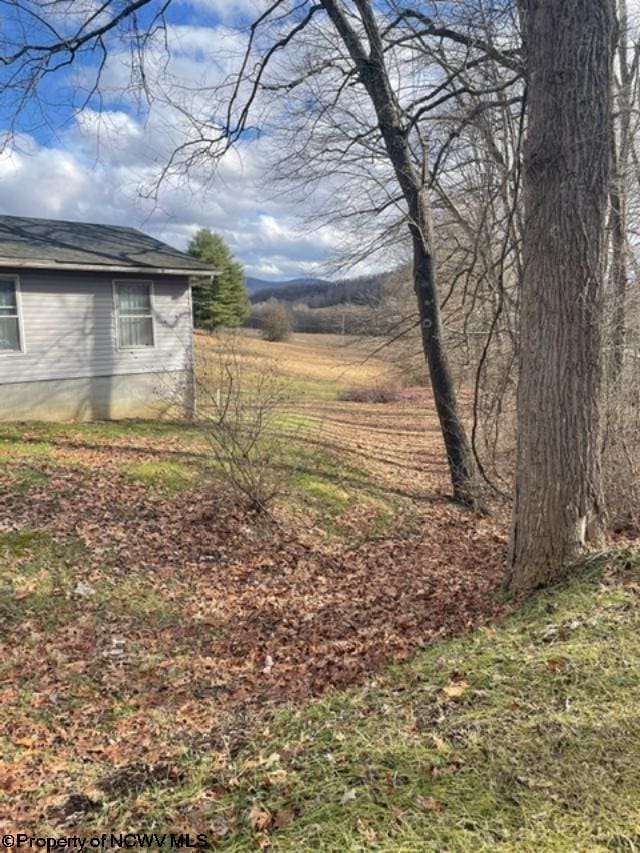 9412 Morgantown Pike, Philippi, WV 26416 - view of yard