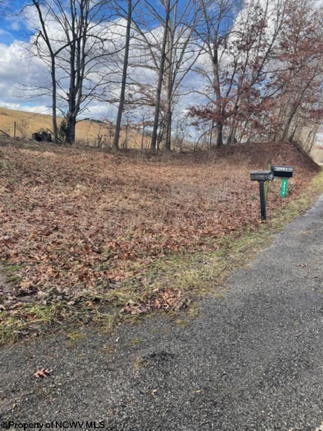 9412 Morgantown Pike, Philippi, WV 26416 - view of yard