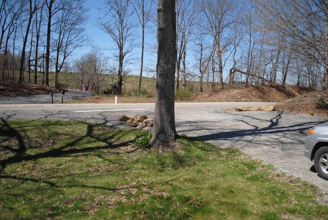 9412 Morgantown Pike, Philippi, WV 26416 - view of road