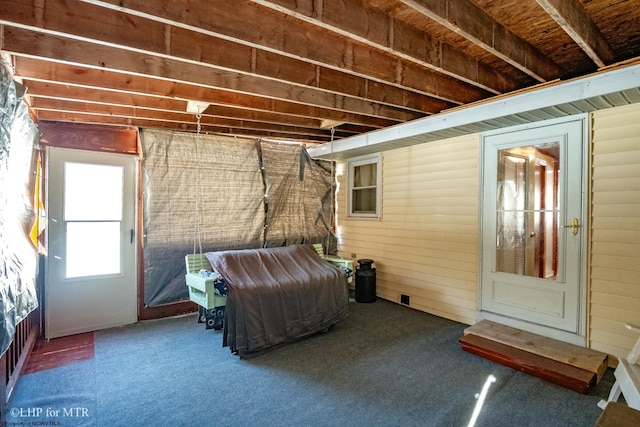 basement featuring carpet flooring