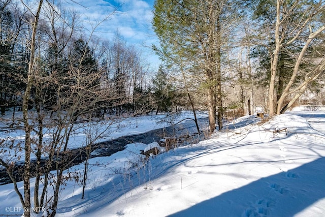 view of yard covered in snow