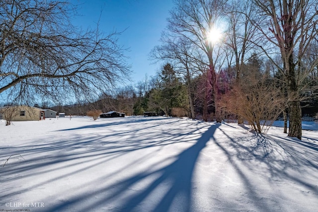 view of yard covered in snow