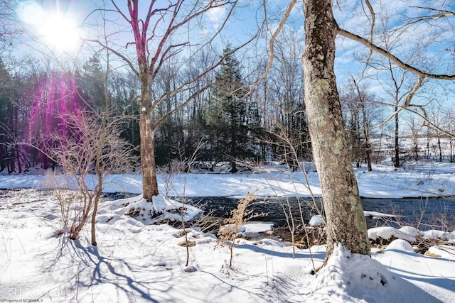 view of yard layered in snow