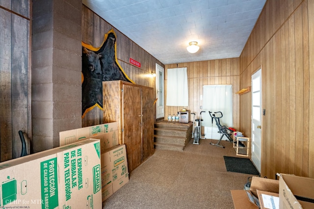 miscellaneous room featuring light carpet and wooden walls